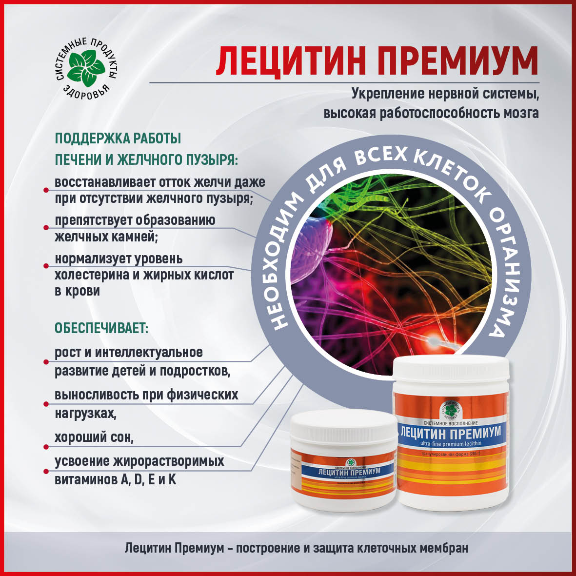 Лецитин Премиум, 285 гр.